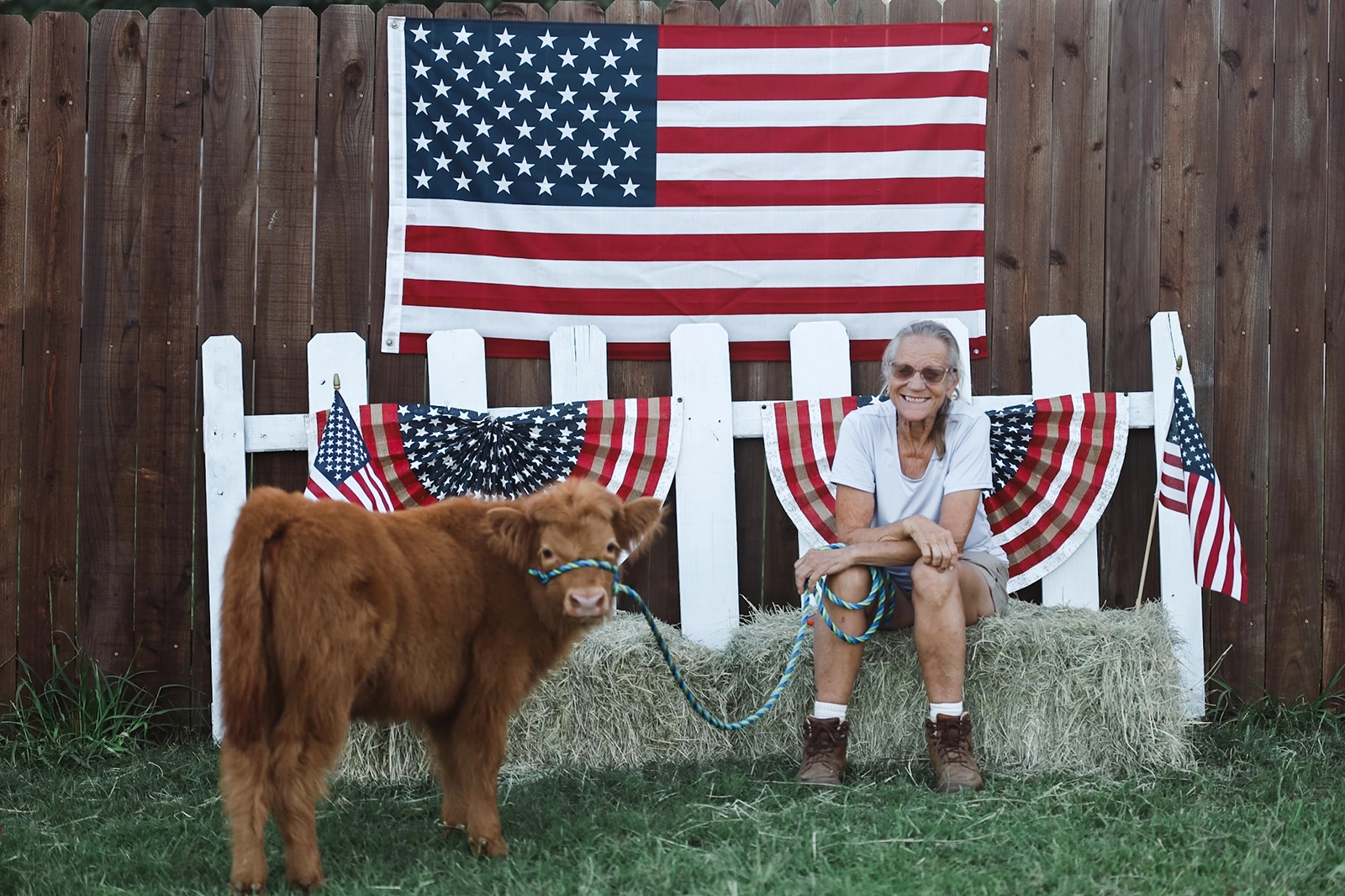 Julie and Ginger our Highland Calf on the 4th of July